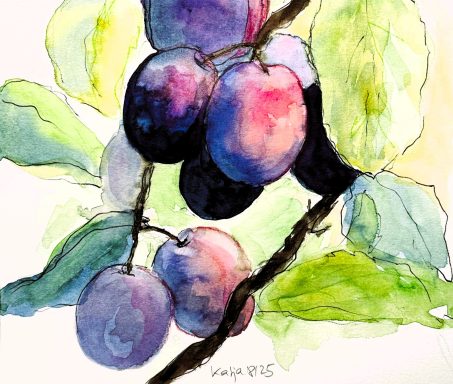 Pflaumen * Plums