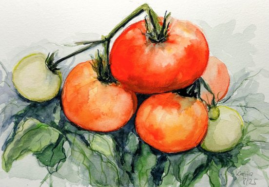 Tomaten * Tomatoes