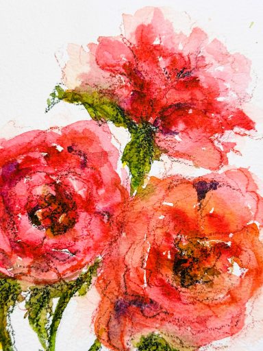 Drei Rosen * Three Roses