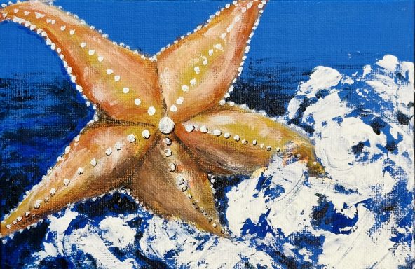 Seestern * Starfish