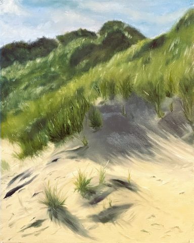 Fanoe Dünen * Fano Dunes