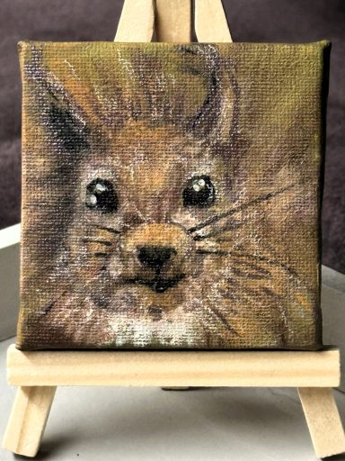 Eichhörnchen * Squirrel