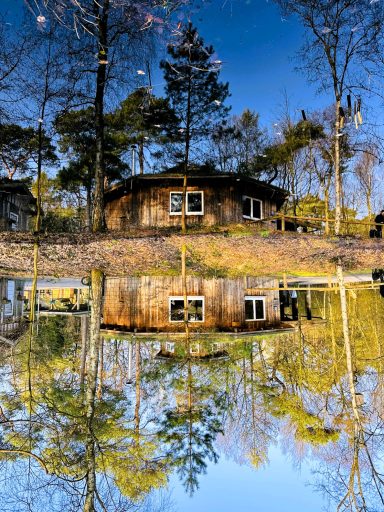 Upside down (trompe d'oeil)