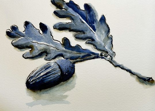 Acorn monochrome