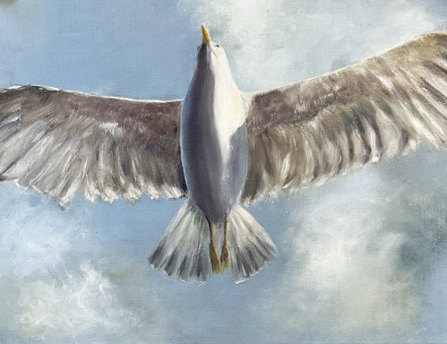 Überflieger * High Flyer