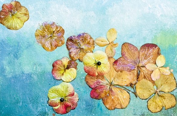 Winterhortensie * Winter Hydrangea