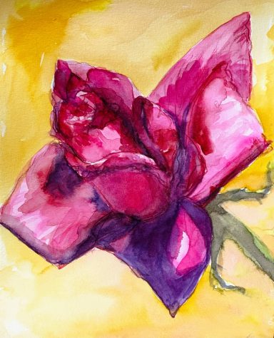 Pink Rose