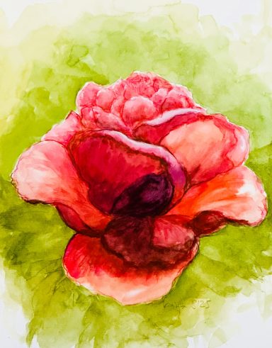 Redrosegreen