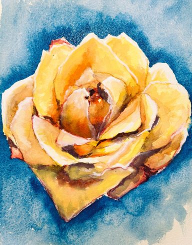 Gelbe Rose * Yellow Rose