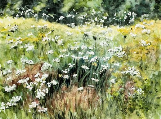 Sommerwiese * Summer Meadow