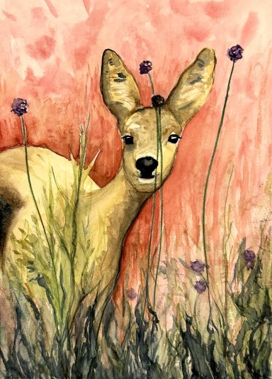 Fanoe Reh * Fanoe Deer