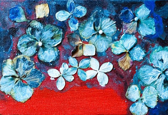 Feurige Hortensie * Hydrangea on Fire