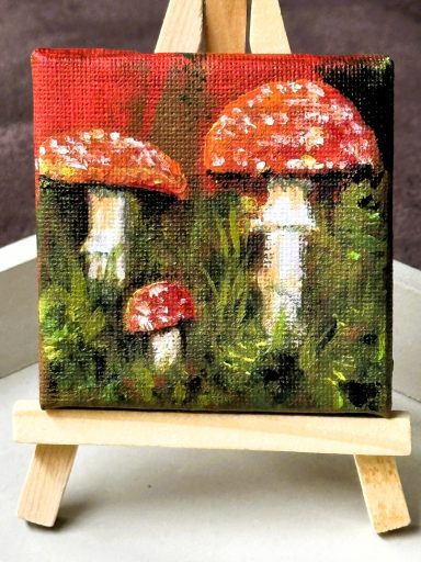 Fliegenpilz * Fly Agaric